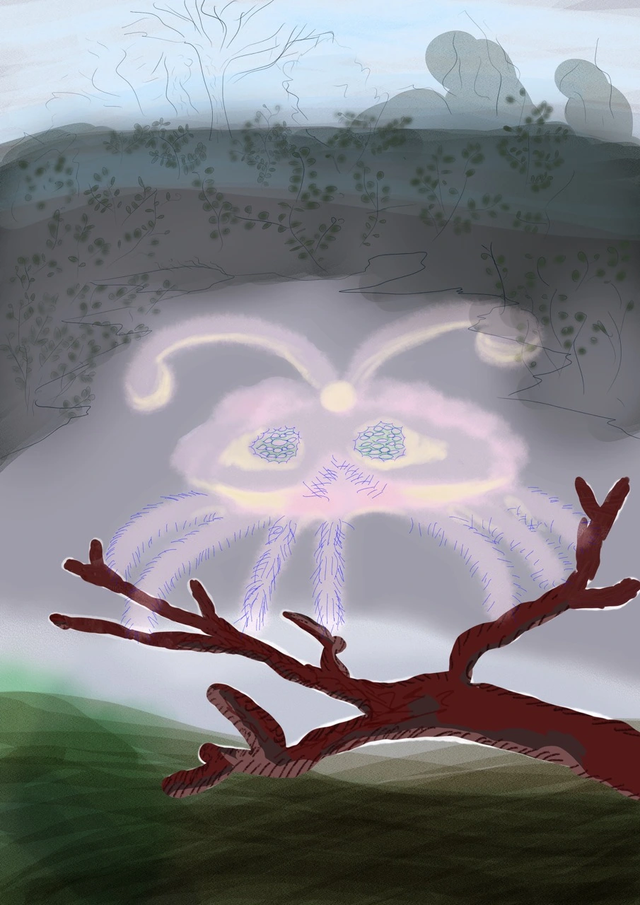 araignee Large