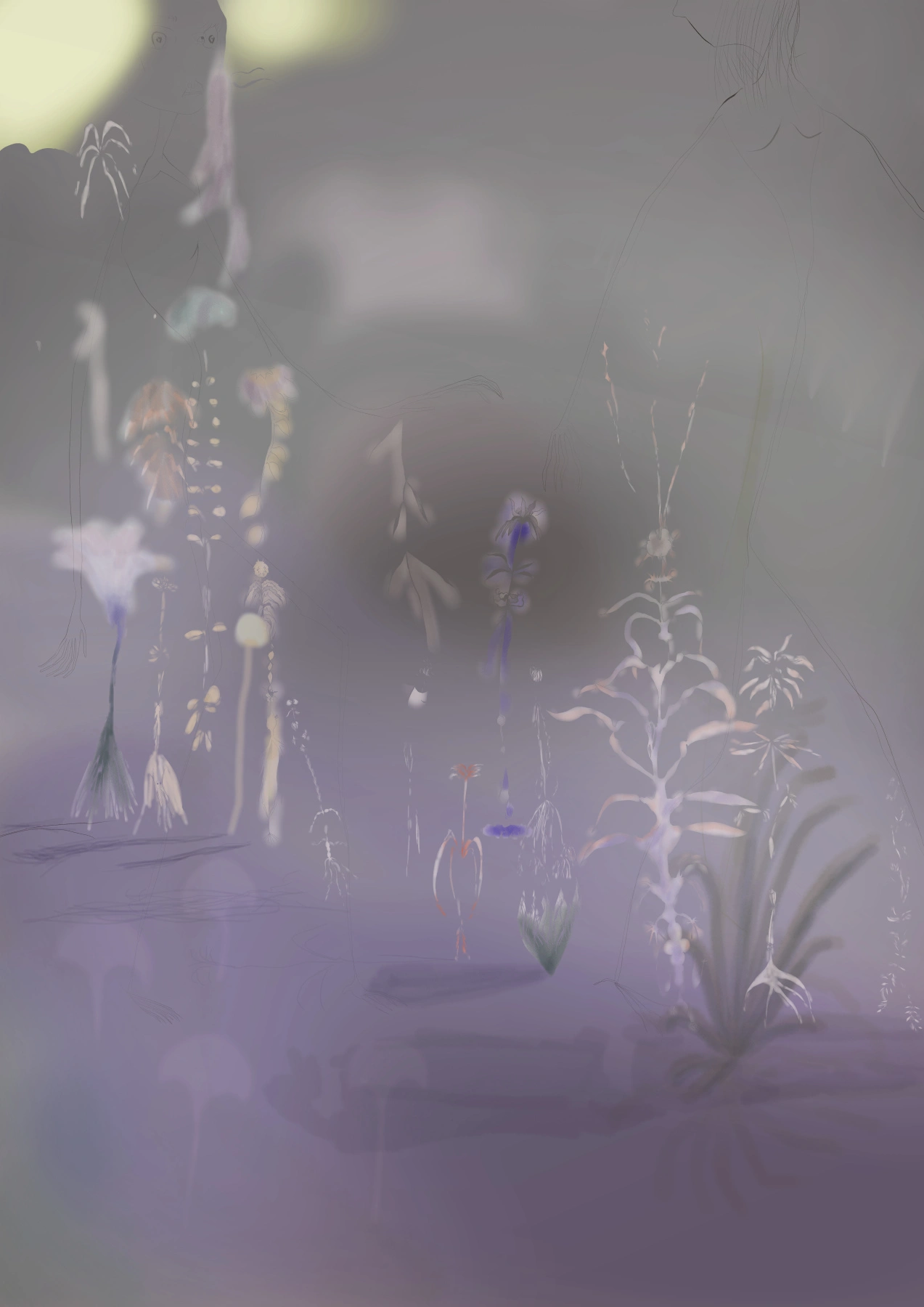 rainy-plants