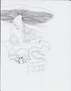 1st