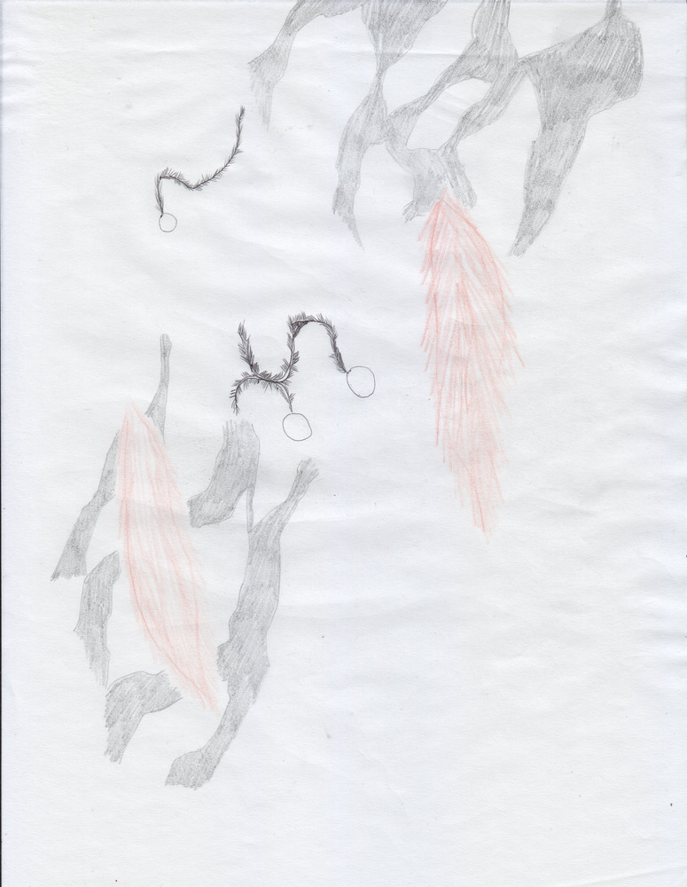 04 6518723